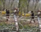 Έβρος: Επίδειξη… πολεμικών τεχνών από μετανάστη πίσω από τον φράχτη (βίντεο)