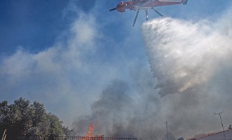 Φωτιά στην Αρτέμιδα – Εκκενώνεται ο οικισμός «Αγία Κυριακή»