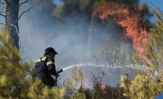 Κόλαση φωτιάς στην Κερατέα – Στα πρώτα σπίτια του οικισμού Φέριζα οι φλόγες