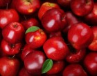 Εορδαία: Στα ελληνικά χέρια «επένδυσαν» φέτος οι παραγωγοί Μήλων