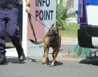Ο αστυνομικός σκύλος «Ακύλας» ξετρύπωσε διακινητές ναρκωτικών