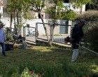 Χιλιάδες συστημένες επιστολές για τον καθαρισμό οικοπέδων από τη Δ/νση Περιβάλλοντος και Πρασίνου του Δήμου Αχαρνών