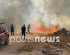 Φωτιά στην Σπιάντζα, στον Πύργο Ηλείας – Παραλίγο να καεί όχημα της πυροσβεστικής
