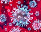 Η Covid-19 σύντομα δεν θα είναι πιο επικίνδυνη από την εποχική γρίπη