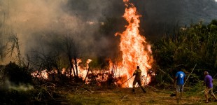Φωτιά στην Ηλεία: Στο νοσοκομείο πυροσβέστης που μετείχε στην κατάσβεση