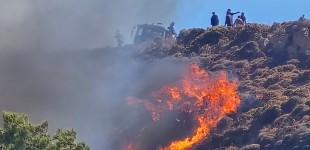 Φωτιές: Δύσκολη η κατάσταση στη Χίο, φούντωσε το μέτωπο στην Κω