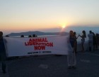 Γίναμε είδηση: Ιδιοκτήτες γαϊδουριών δέρνουν ακτιβιστές στη Σαντορίνη