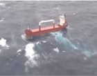 Εικόνες που κόβουν την ανάσα από τη διάσωση του πληρώματος του πλοίου που κινδύνευσε στη Λέσβο (βίντεο)