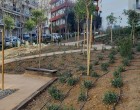 Αθήνα: Eτοιμο ακόμη ένα «Pocket Park» στο Παγκράτι