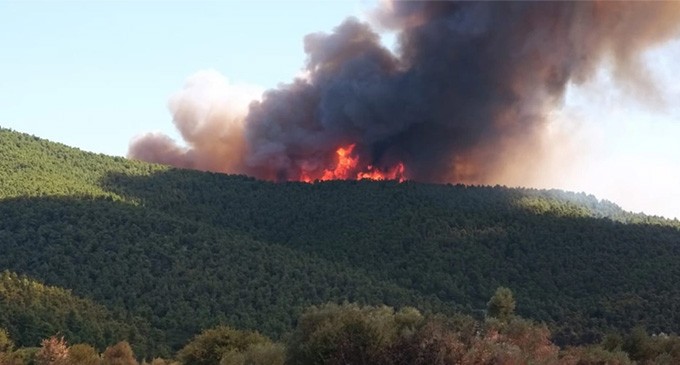 Νέα μεγάλη φωτιά στη Βίλια -Μήνυμα του 112 για εκκένωση του οικισμού