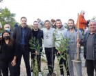 Πανί: 500 νέα δέντρα από εθελοντές και τον Δήμο Αλίμου
