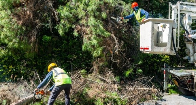 Δήμος Πεντέλης: Συνεργεία του ΔΕΔΔΗΕ κλαδεύουν δένδρα που ακουμπούν σε καλώδια ηλεκτροδότησης