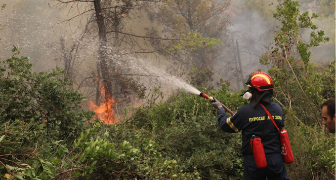 Εύβοια: Νέα πυρκαγιά καίει σε δύο μέτωπα – Συναγερμός στην Πυροσβεστική