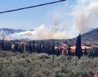 Φωτιά στην Φέριζα Σαρωνικού – Δίπλα σε σπίτια οι φλόγες – Μήνυμα 112 για εκκένωση
