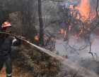 Φωτιά στη Μεσσηνία: Μήνυμα 112 για εκκένωση από Μεσοχώρι προς Πήδασο -Ισχυρές δυνάμεις στο σημείο
