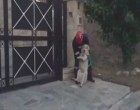 Φωτιά στην Πεντέλη: Συγκλονιστικό βίντεο από το Ντράφι – Εθελοντής σώζει μεγαλόσωμο σκύλο πηδώντας φράχτη