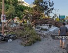 Κρήτη: Η περιγραφή σοκ αυτόπτη μάρτυρα για τη στιγμή που δέντρο έπεσε στο δρόμο και σκότωσε μοτοσικλετιστή