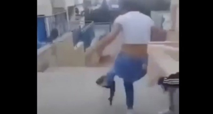 Μαθήτρια κλώτσησε γάτα και γελούσε με τις φίλες της (Βίντεο)