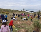 Δώδεκα χιλιάδες δέντρα φύτεψαν οι μαθητές της Γλυφάδας στον Υμηττό