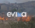 Φωτιά στην Εύβοια – Κοντά σε σπίτια οι φλόγες