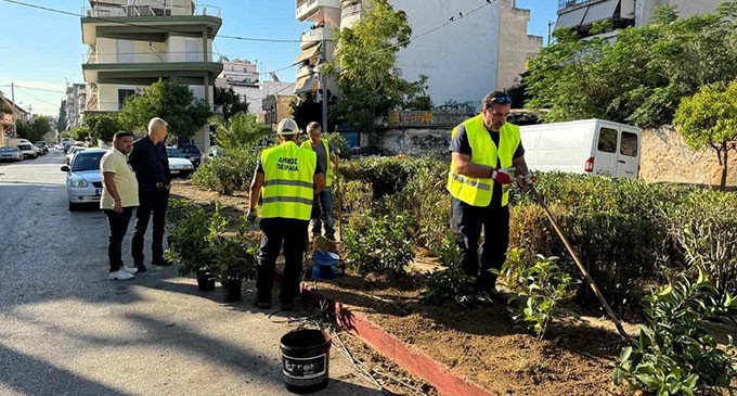 Γιάννης Μώραλης: «Δημιουργούμε νέες «εστίες» πρασίνου ομορφαίνοντας τις γειτονιές και αναβαθμίζοντας την ποιότητα ζωής των Πειραιωτών» – 140 νέα δένδρα στην πλατεία Αγ. Αναργύρων στην Παλαιά Κοκκινιά